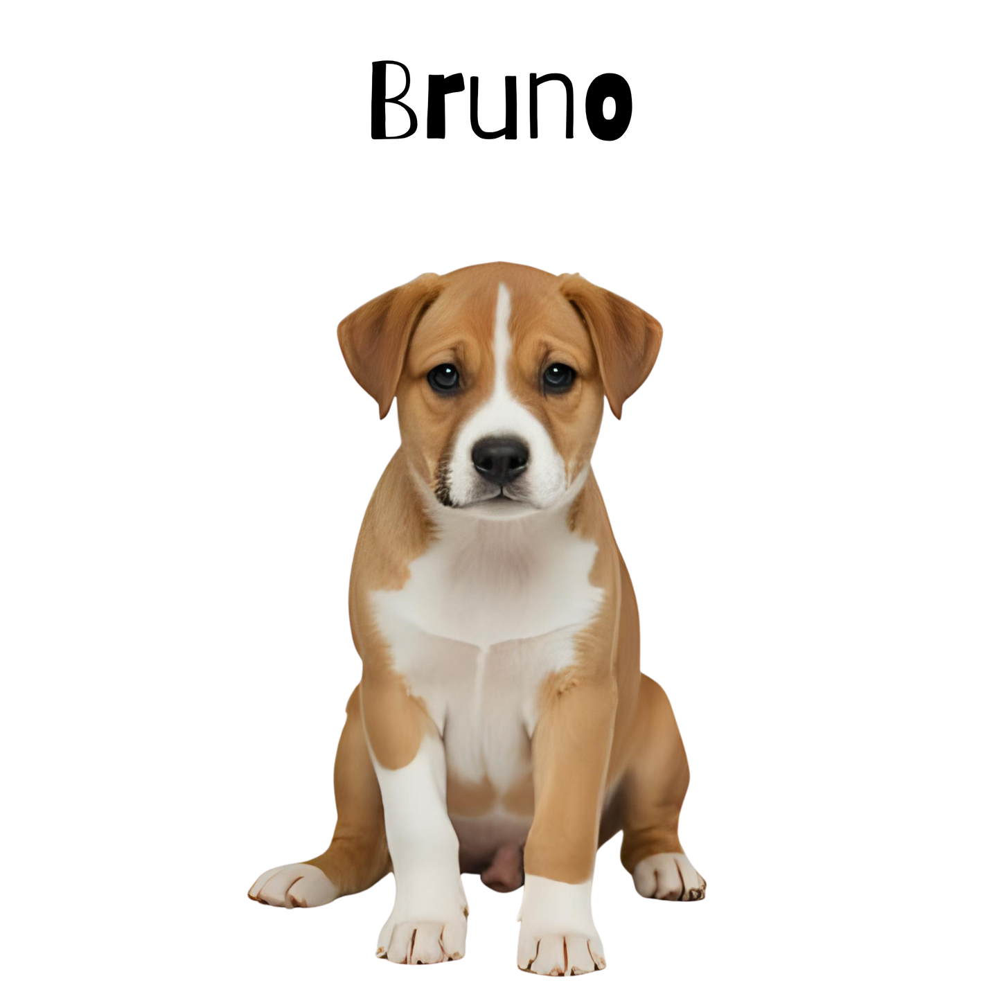 Dog Poster Digital Downloads