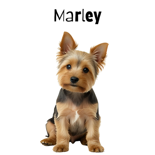Small dog with a name 'Marley' above it on a white background
